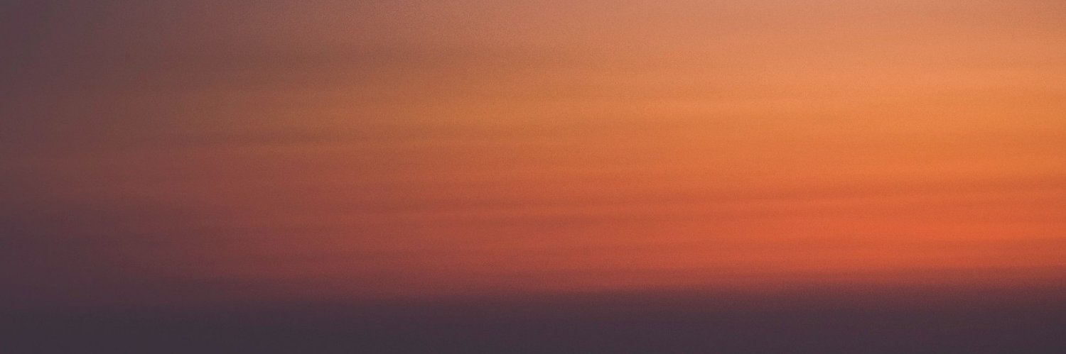 bookfancier_'s profile banner image