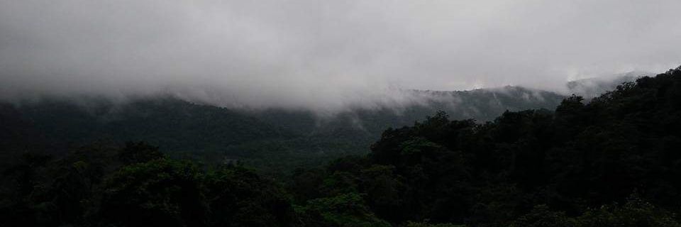 Avinash 🇮🇳 banner