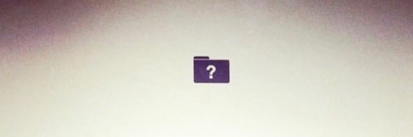 María Zabala banner