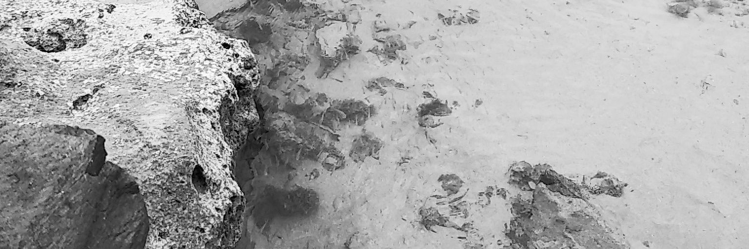 faizalardy's profile banner image