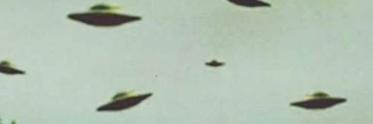 Milton Custard banner