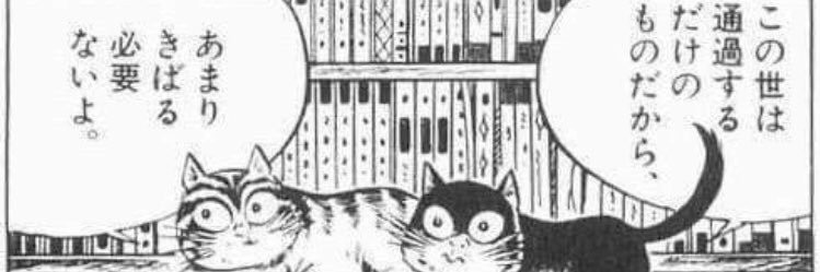 553387's profile banner image