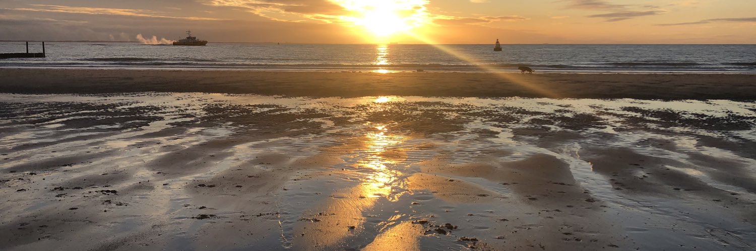 H.J. van Arenthals banner