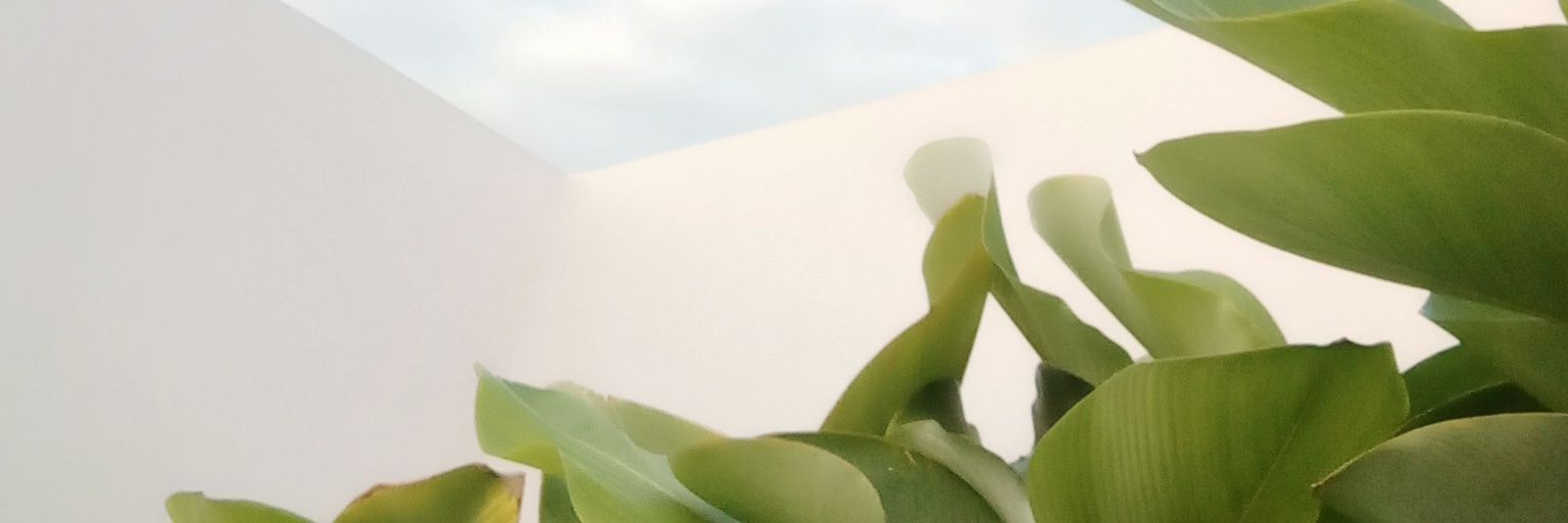 anityarizki's profile banner image
