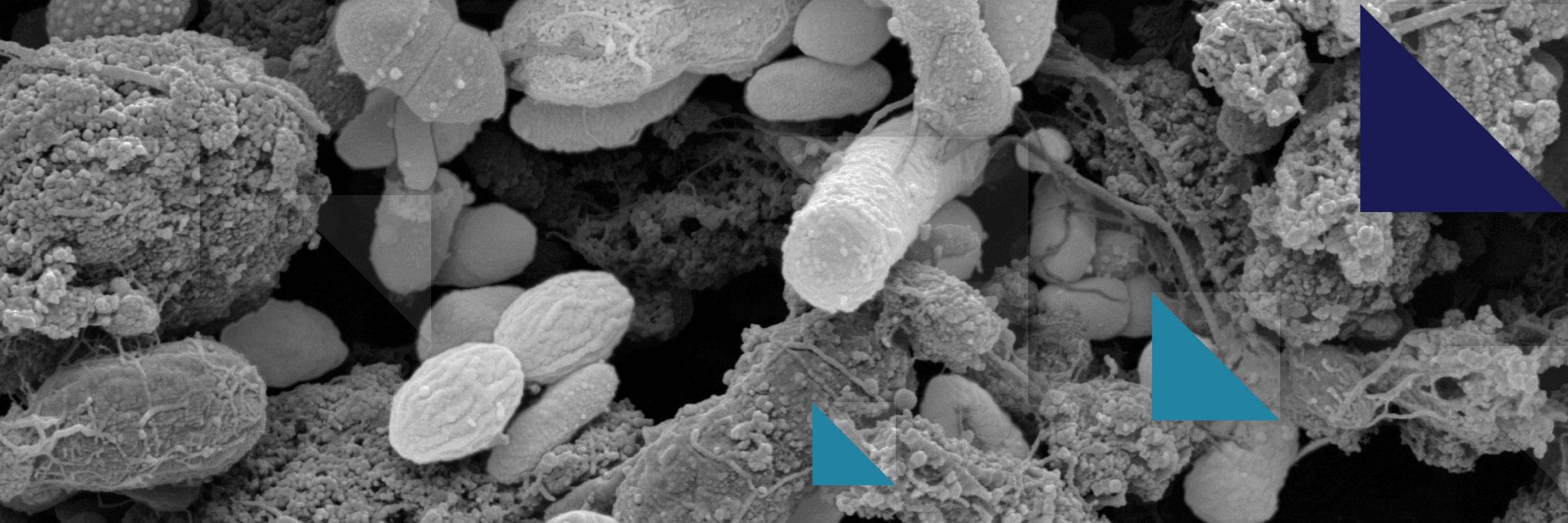 Microbiome's banner
