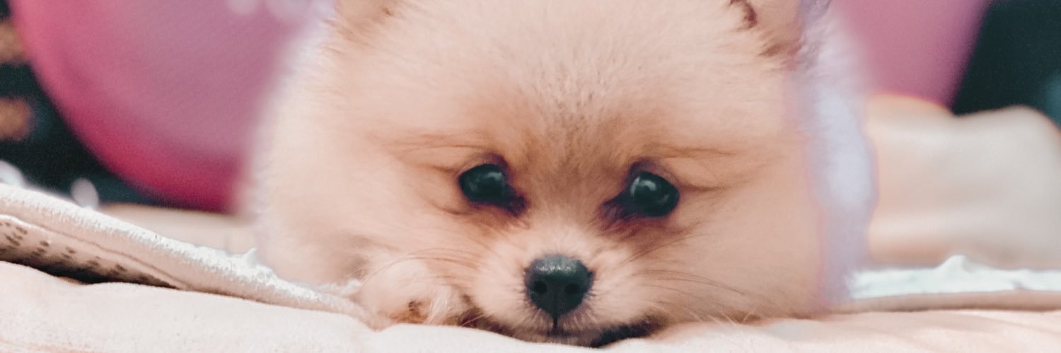 senzerx's profile banner image