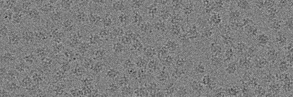 tarekh247 Profile Banner