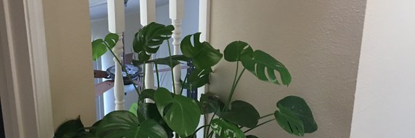 patiisjaks5 Profile Banner