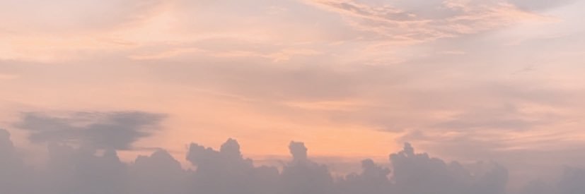 Madam Suezy banner