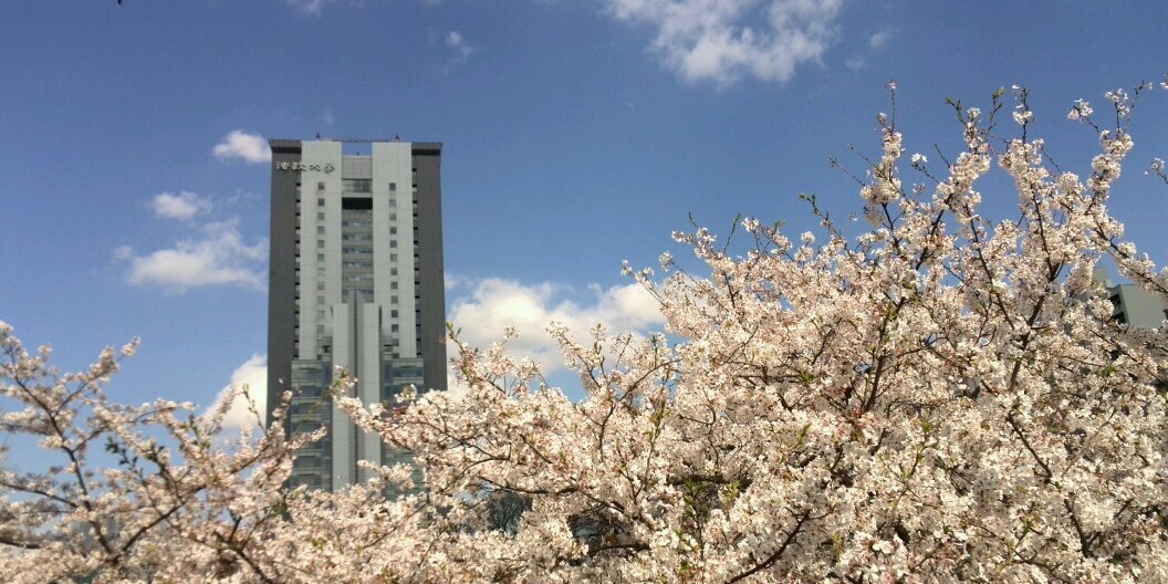 むらしば。 banner