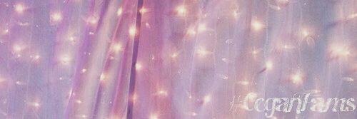CeganFams's profile banner image