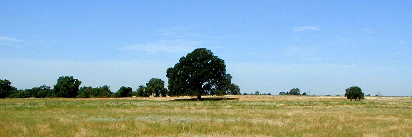 Shute, Mihaly, and Weinberger LLP banner
