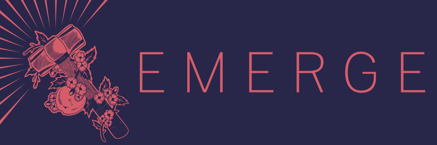 DSA Emerge's banner