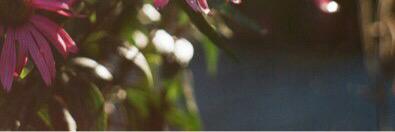 48 banner