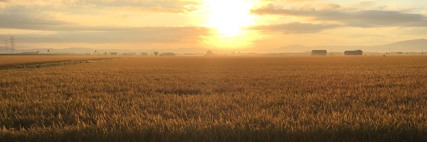 R0924M's profile banner image