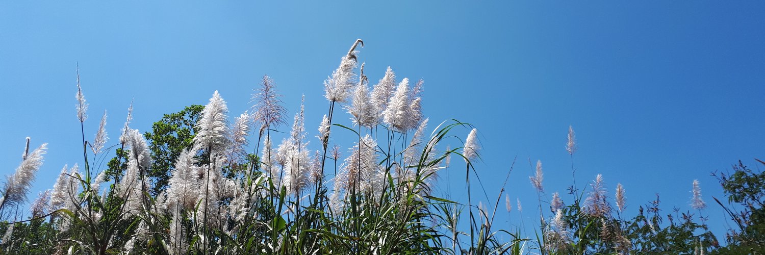 Yovie | ᮚᮧᮗᮤ banner