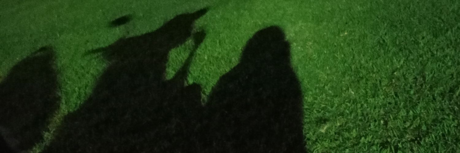ayukozil's profile banner image