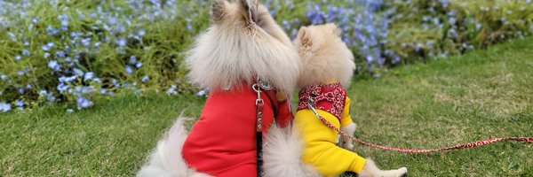 ATTUN827 Profile Banner