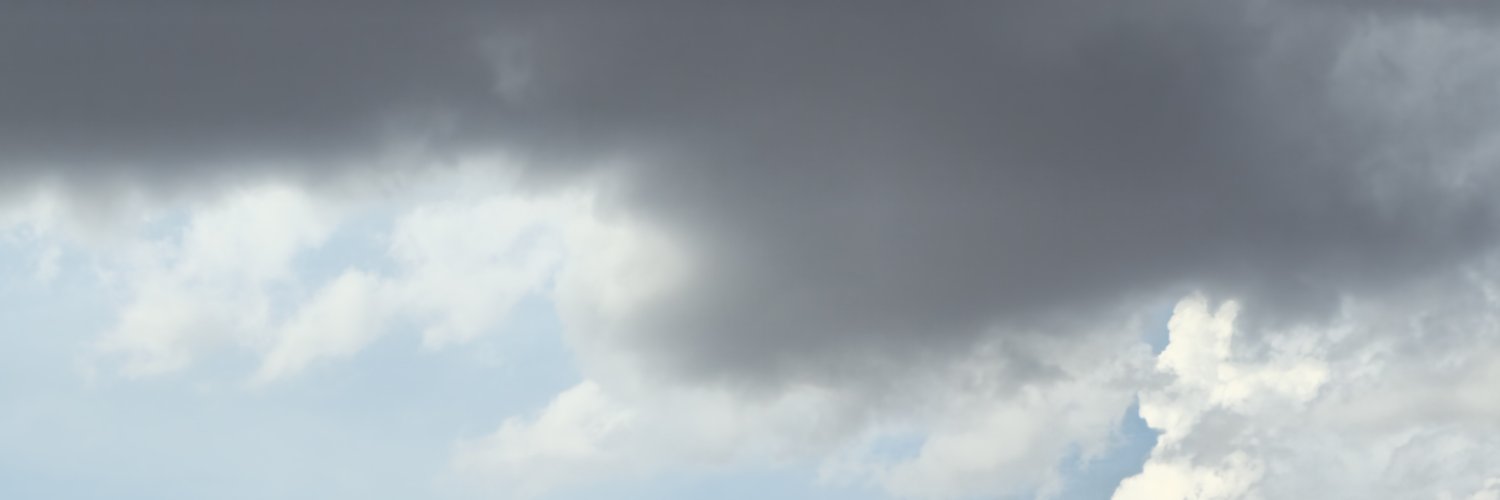 alerr_yuri's profile banner image