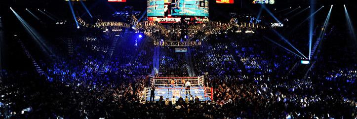 BoxingGeek's profile banner image