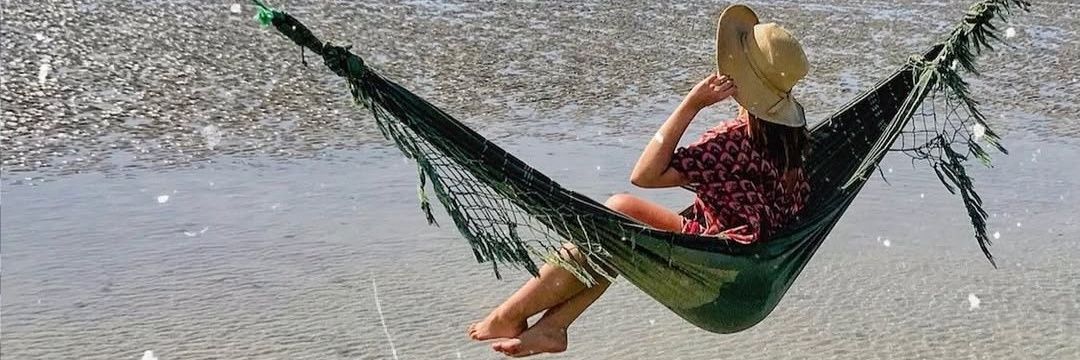 Fran Mascarenhas🌹❤️🇧🇷❤️🌹 banner