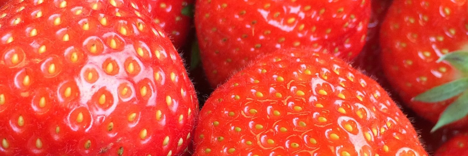 HogansFoodCo's profile banner image