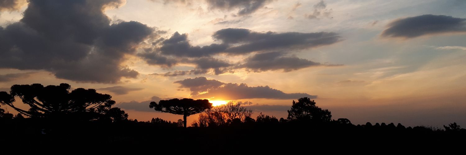 AndreGuaraldo's profile banner image