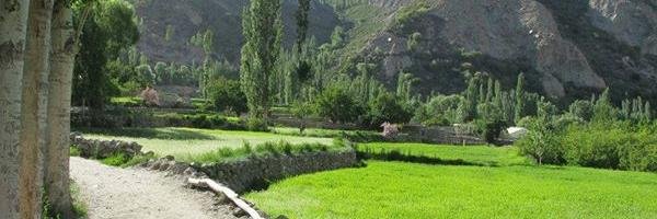 gulmitik's profile banner image