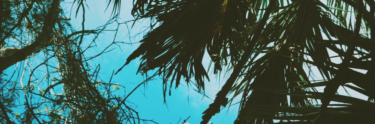 libby_thomas8's profile banner image