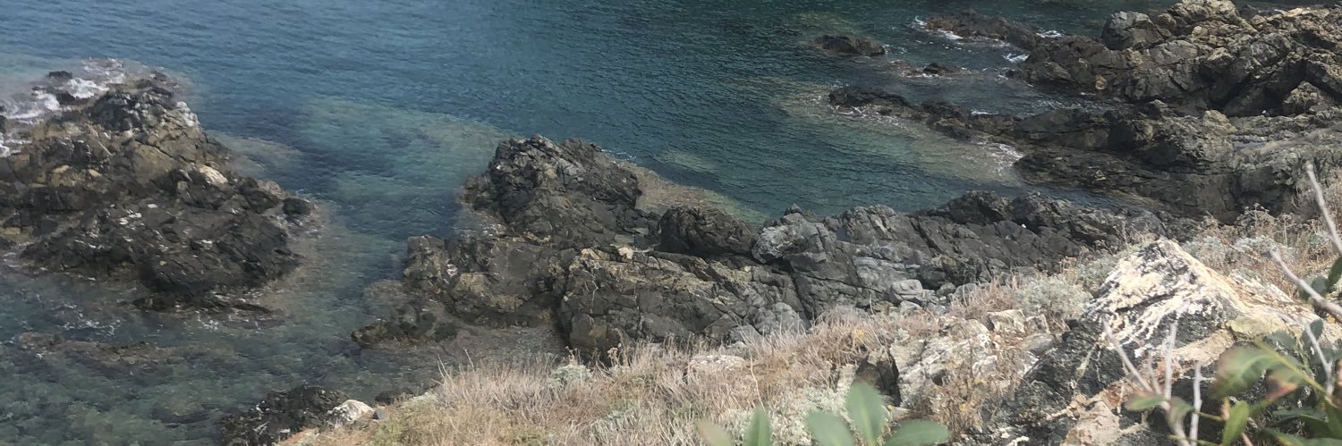 ROceane_'s profile banner image