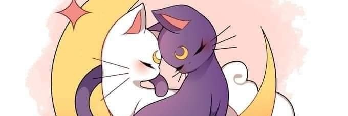 White_Lily24's profile banner image