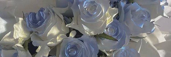 hdl0917 Profile Banner