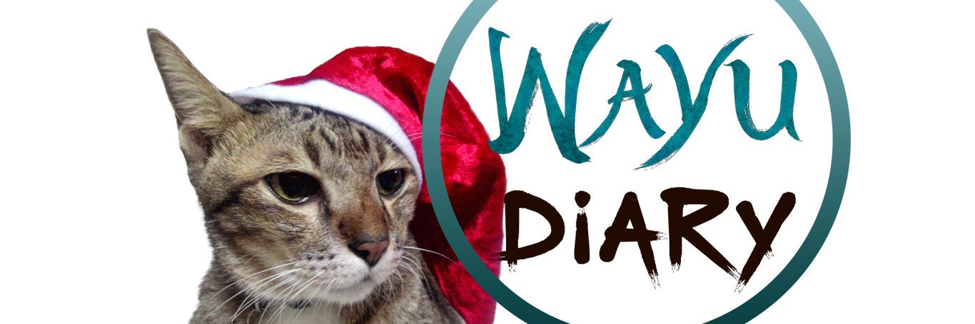 WayuDiary's profile banner image
