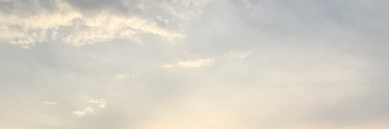 ola 🍓 banner