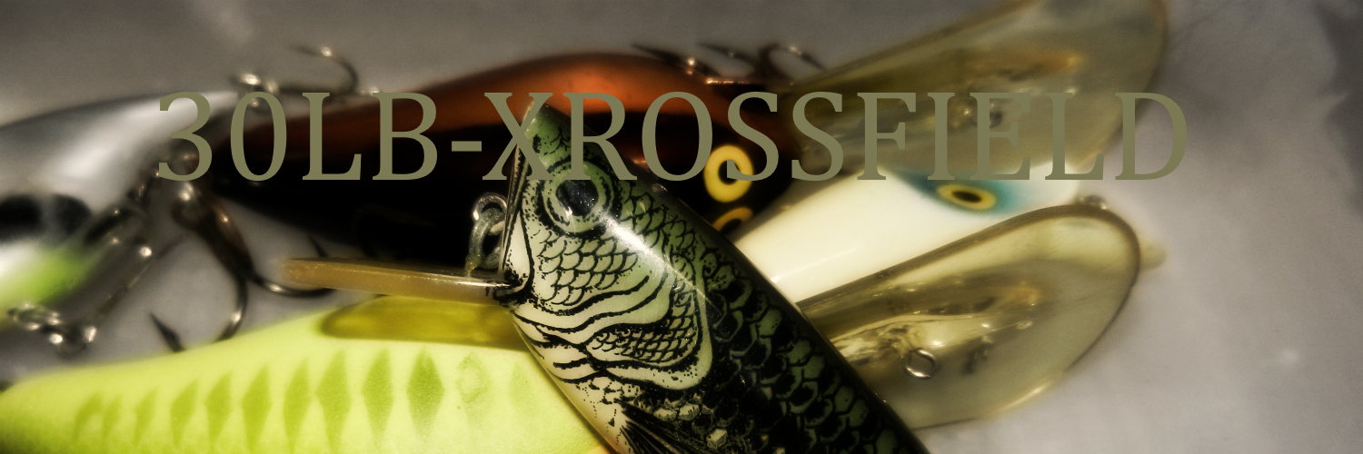 30lb's profile banner image