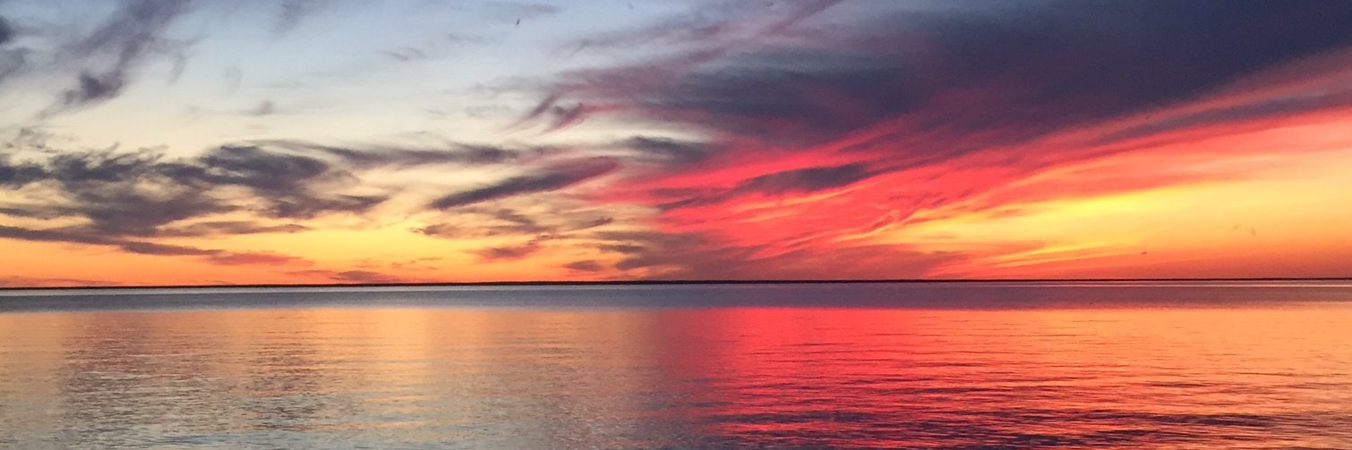 MarkHamelin's profile banner image