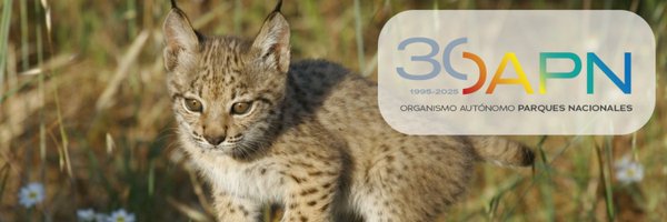 oapngob Profile Banner
