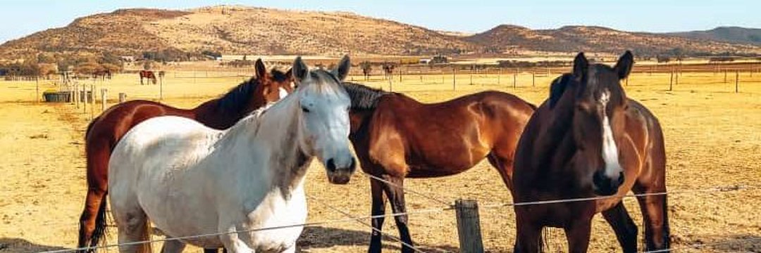 🇳🇦Hawker_2_Tycoon🇦🇴 banner