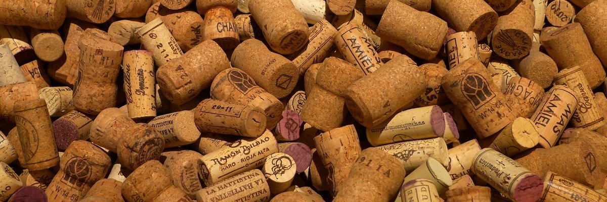 Matteo_Ellusu's profile banner image