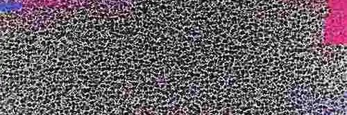 𝒏𝒃𝒍𝒕. banner