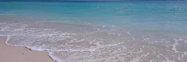 nanami_4ever banner