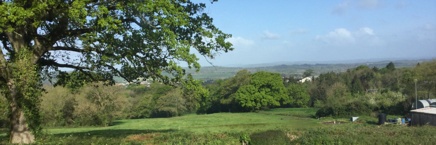 Marple’s Ottery St Mary Mead banner