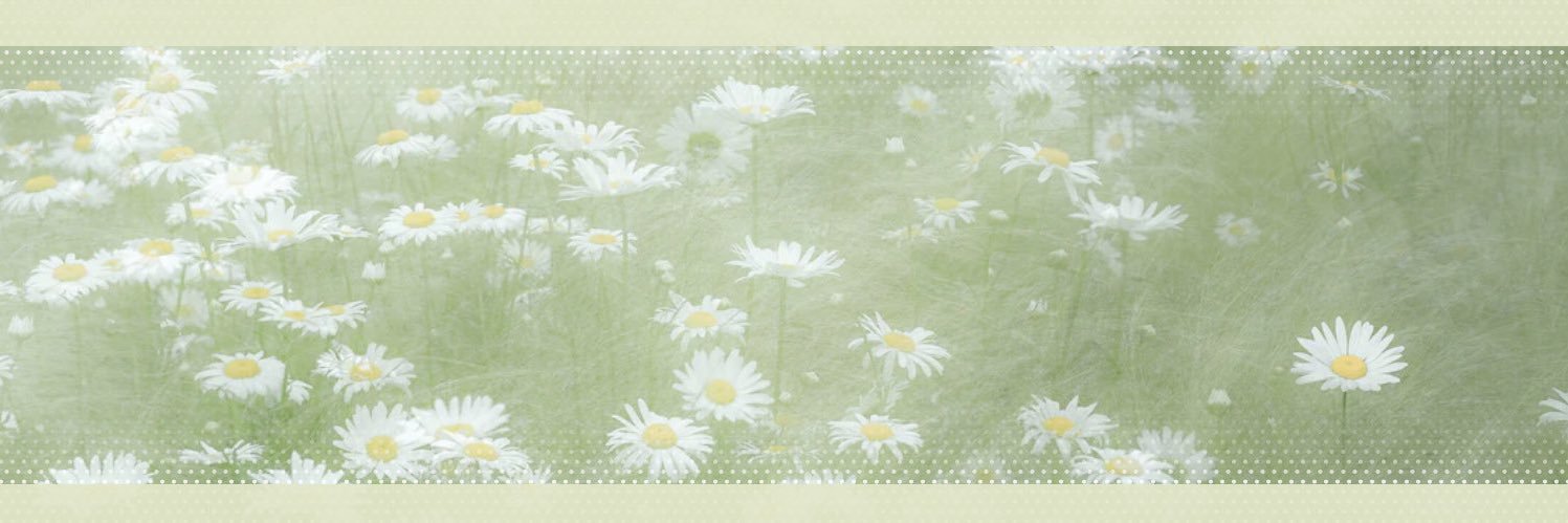 leaf_trhk's profile banner image