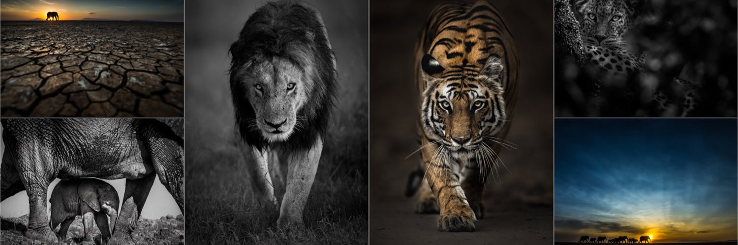 Tom Way Photography banner