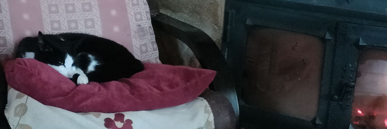 Pbrizma's profile banner image