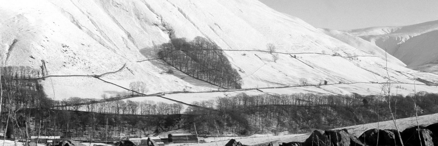 Stuart Roy Clarke 💛💙 banner