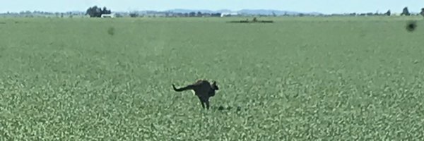 FarmMile Profile Banner