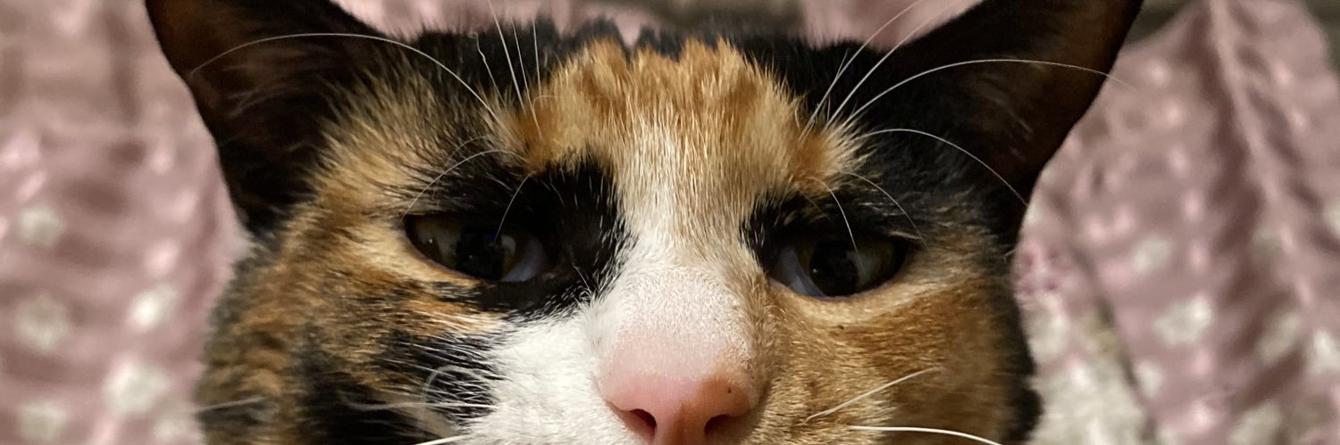 miterh's profile banner image