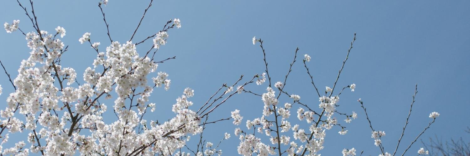 sandalcc's profile banner image