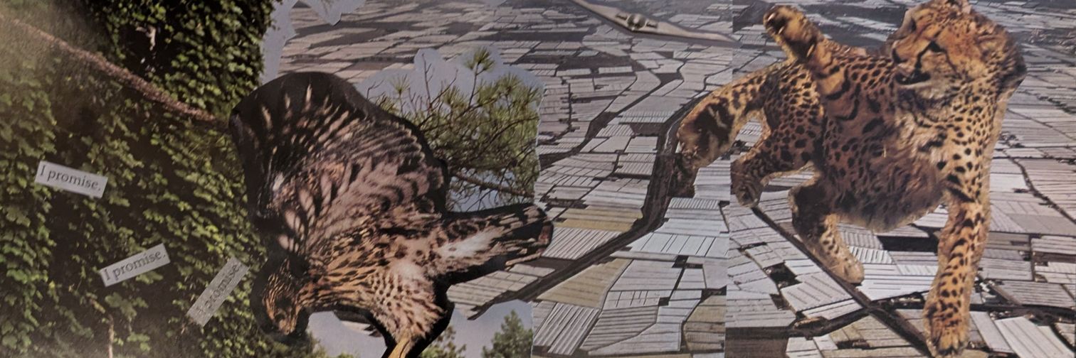 Katherine Yon Ebright's banner